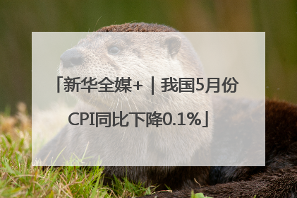 新华全媒+｜我国5月份CPI同比下降0.1%
