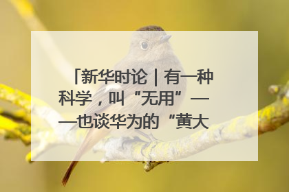 新华时论｜有一种科学，叫“无用”——也谈华为的“黄大年茶思屋”