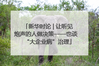 新华时论 | 让听见炮声的人做决策——也谈“大企业病”治理