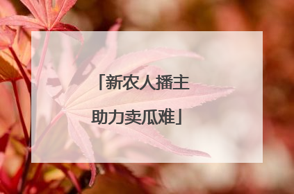 新农人播主 助力卖瓜难