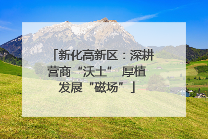 新化高新区：深耕营商“沃土” 厚植发展“磁场”