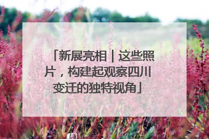 新展亮相｜这些照片，构建起观察四川变迁的独特视角