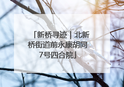 新桥寻迹｜北新桥街道前永康胡同7号四合院