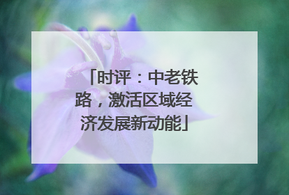 时评：中老铁路，激活区域经济发展新动能