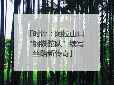 时评：阿拉山口“钢铁驼队”续写丝路新传奇
