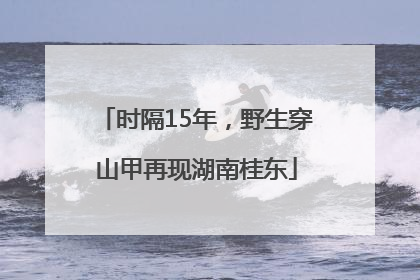 时隔15年，野生穿山甲再现湖南桂东