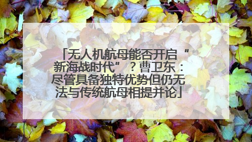 无人机航母能否开启“新海战时代”？曹卫东：尽管具备独特优势但仍无法与传统航母相提并论
