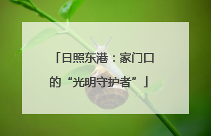日照东港：家门口的“光明守护者”