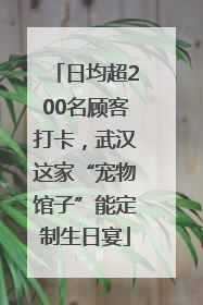 日均超200名顾客打卡，武汉这家“宠物馆子”能定制生日宴