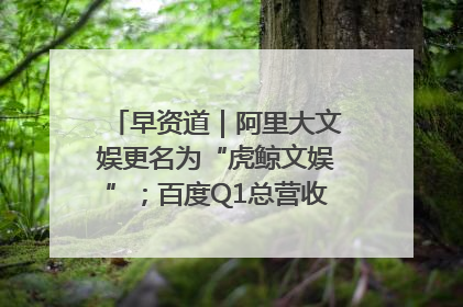 早资道｜阿里大文娱更名为“虎鲸文娱”；百度Q1总营收325亿元超预期