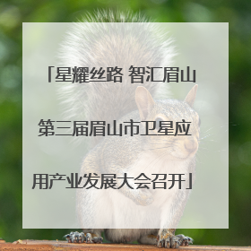 星耀丝路 智汇眉山 第三届眉山市卫星应用产业发展大会召开