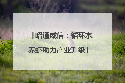 昭通威信：循环水养虾助力产业升级