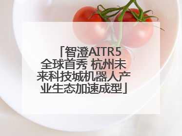 智澄AITR5全球首秀 杭州未来科技城机器人产业生态加速成型