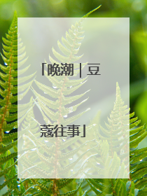 晚潮｜豆蔻往事