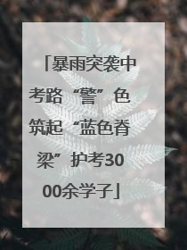 暴雨突袭中考路“警”色筑起“蓝色脊梁”护考3000余学子