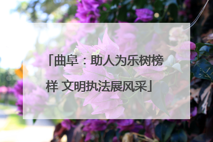 曲阜：助人为乐树榜样 文明执法展风采