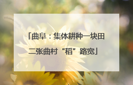 曲阜：集体耕种一块田 二张曲村“稻”路宽
