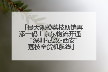 最大规模荔枝助销再添一码！京东物流开通“深圳-武汉-西安” 荔枝全货机航线
