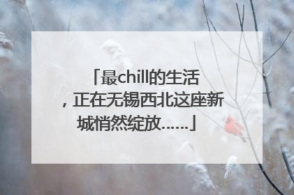 最chill的生活，正在无锡西北这座新城悄然绽放……