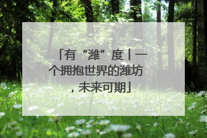 有“潍”度丨一个拥抱世界的潍坊，未来可期