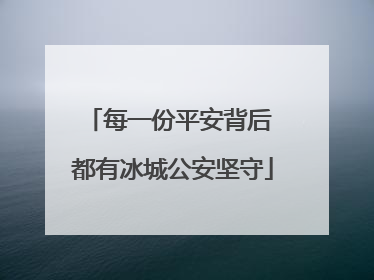 每一份平安背后 都有冰城公安坚守