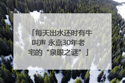 每天出水还时有牛叫声 永嘉30年老宅的“泉眼之谜”