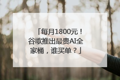 每月1800元！谷歌推出最贵AI全家桶，谁买单？