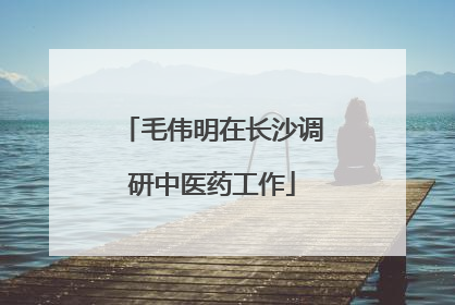 毛伟明在长沙调研中医药工作