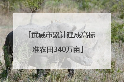 武威市累计建成高标准农田340万亩