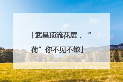 武昌顶流花展，“荷”你不见不散