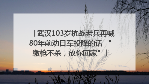 武汉103岁抗战老兵再喊80年前劝日军投降的话 “缴枪不杀，放你回家”