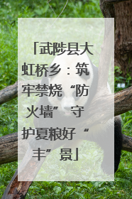 武陟县大虹桥乡：筑牢禁烧“防火墙” 守护夏粮好“丰”景