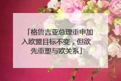 格鲁吉亚总理重申加入欧盟目标不变，但欲先重塑与欧关系