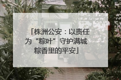 株洲公安：以责任为“粽叶”守护满城粽香里的平安
