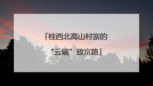 桂西北高山村寨的“云端”致富路