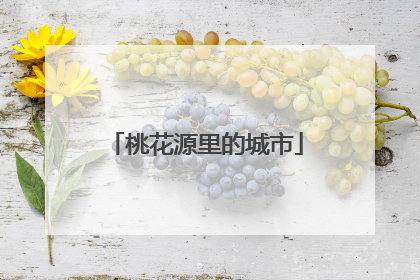 桃花源里的城市