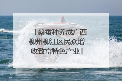 桑蚕种养成广西柳州柳江区民众增收致富特色产业