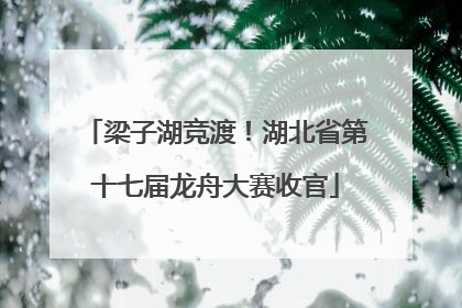 梁子湖竞渡！湖北省第十七届龙舟大赛收官