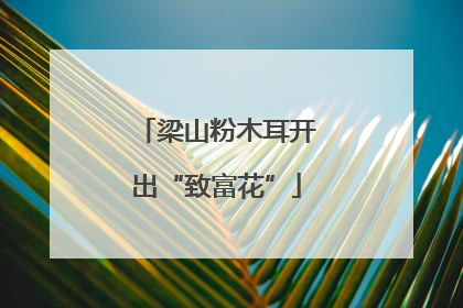 梁山粉木耳开出“致富花”