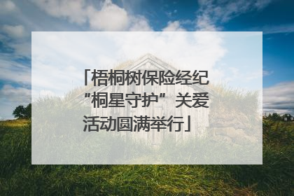 梧桐树保险经纪“桐星守护”关爱活动圆满举行
