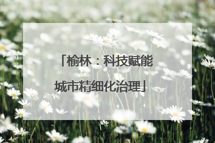 榆林：科技赋能城市精细化治理