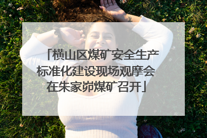 横山区煤矿安全生产标准化建设现场观摩会在朱家峁煤矿召开