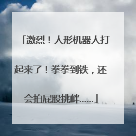 激烈！人形机器人打起来了！拳拳到铁，还会拍屁股挑衅……