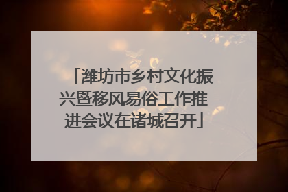 潍坊市乡村文化振兴暨移风易俗工作推进会议在诸城召开