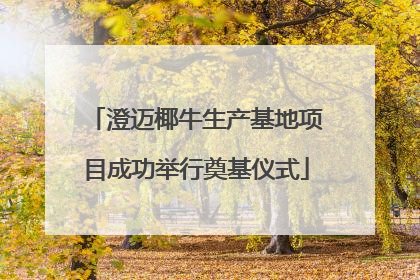 澄迈椰牛生产基地项目成功举行奠基仪式