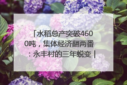 水稻总产突破4600吨，集体经济翻两番：永丰村的三年蜕变｜您牵挂的四川