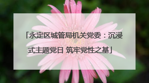 永定区城管局机关党委：沉浸式主题党日 筑牢党性之基