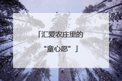 汇爱农庄里的“童心愿”