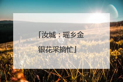 汝城：瑶乡金银花采摘忙
