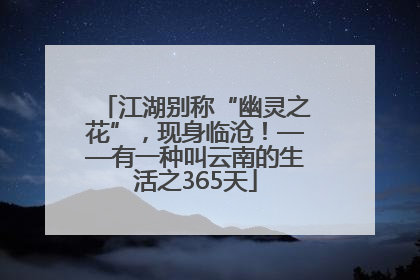 江湖别称“幽灵之花”，现身临沧！——有一种叫云南的生活之365天